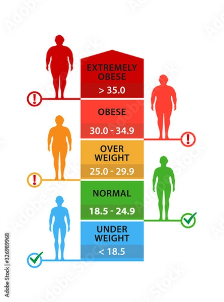 Fototapeta Body mass index. Man silhouettes with different obesity degrees. Weight loss. Vector illustration.