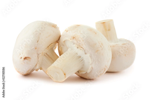 Fototapeta Three mushrooms