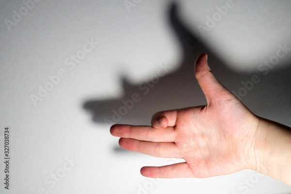 Fototapeta shadow play. freehand shadow on white background