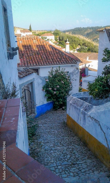 Obraz Obidos