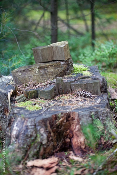 Obraz Old stump covered with lichen and needlein in the middle of the forest