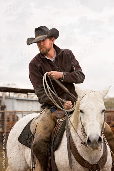 Obraz cowboy on horse