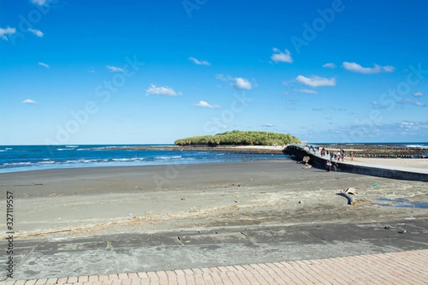 Obraz 宮崎県青島の風景