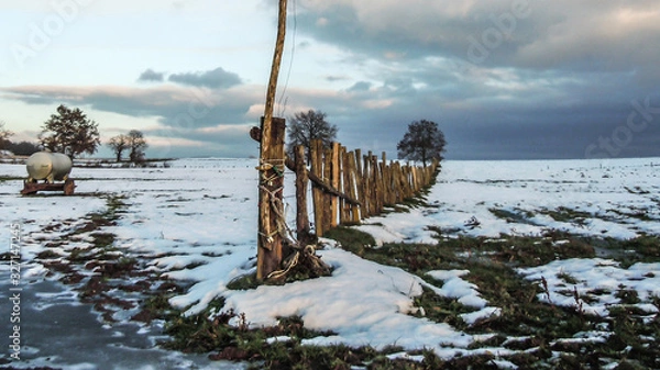 Fototapeta hard winter