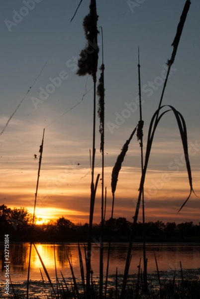 Obraz sunset on the pond