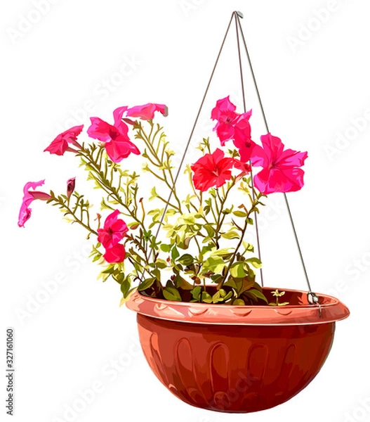 Fototapeta illustration of petunia flowers in a hinged pot in a realistic style , sketch vector graphic color illustration on white background