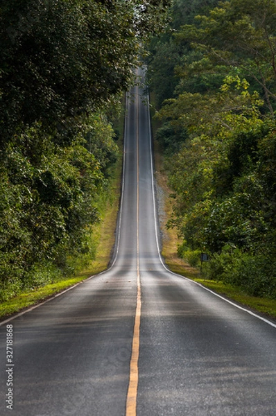Obraz centered road leading symmetrical through a valley in the Thai jungle
