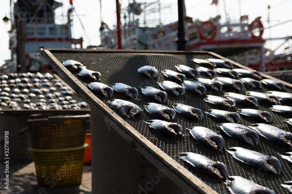 Obraz close shot of fishes that are placed to dry in the sun, with Thai fishing boats in the background