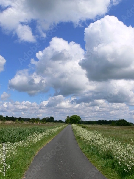 Obraz friesische landschaft