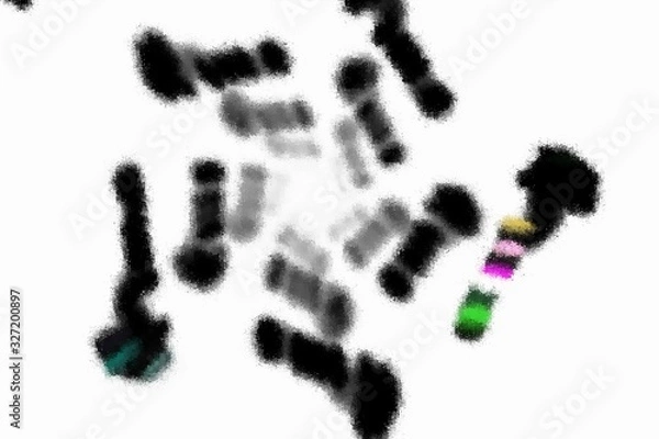 Fototapeta Random black-white fractal pattern. Abstract fractal shapes. Suitable for wallpapers and posters, web, cards, etc.