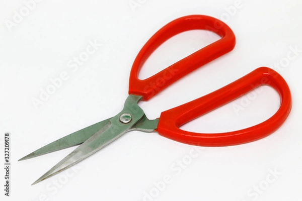 Obraz scissors isolated on white background