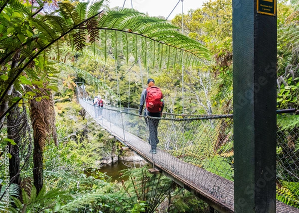 Obraz crossing a bridge hiking abel tasman national park