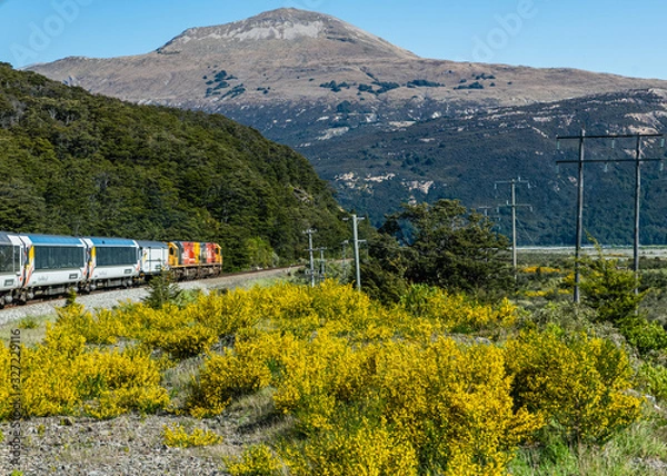 Obraz train ride with tranz alpine express in the mountains