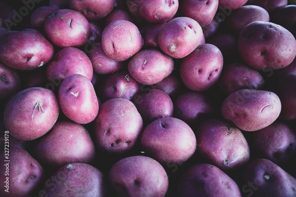 Obraz Purple Potatoes
