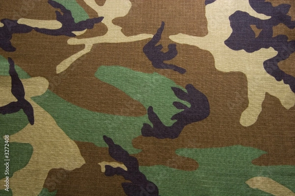 Obraz camouflage jungle