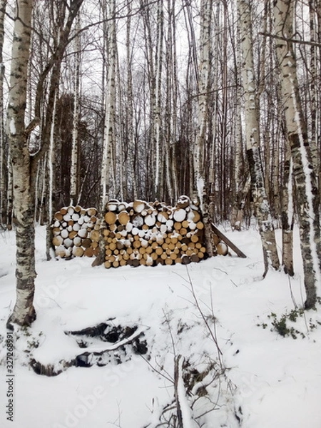 Obraz logs in winter forest
