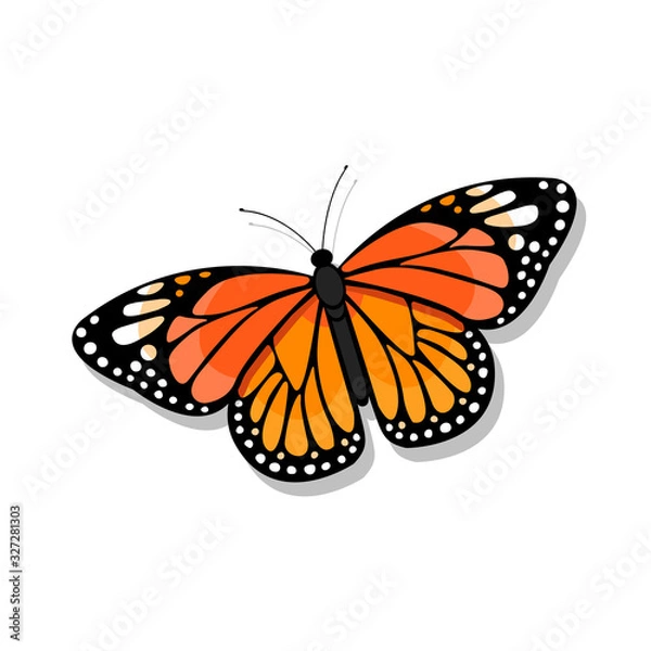 Obraz Ilustracja motyl monarcha na białym tle - wektor