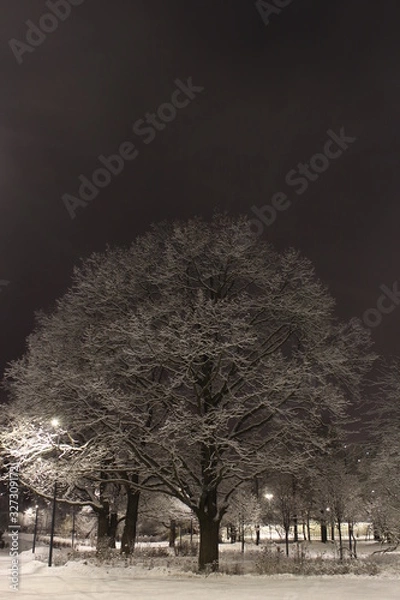 Fototapeta Зимний вечер