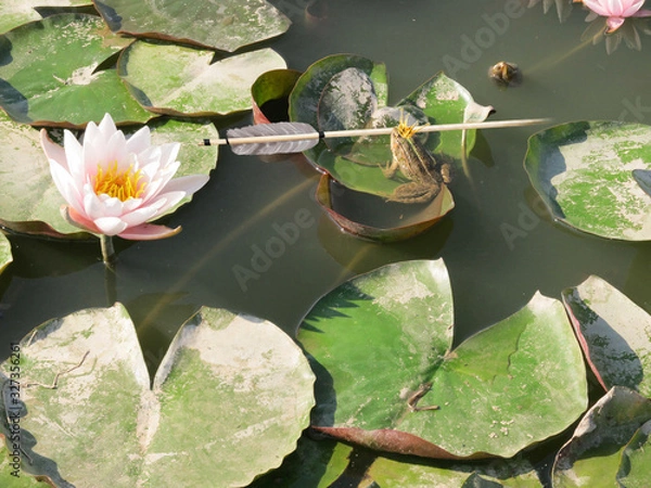 Obraz  Frog princess