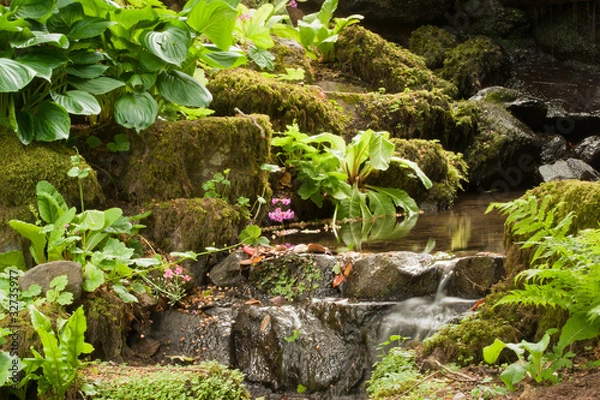 Obraz A waterfall type stream amongst plants