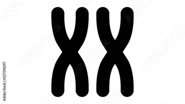 Obraz Feminism vector elements.  Feminism banner design