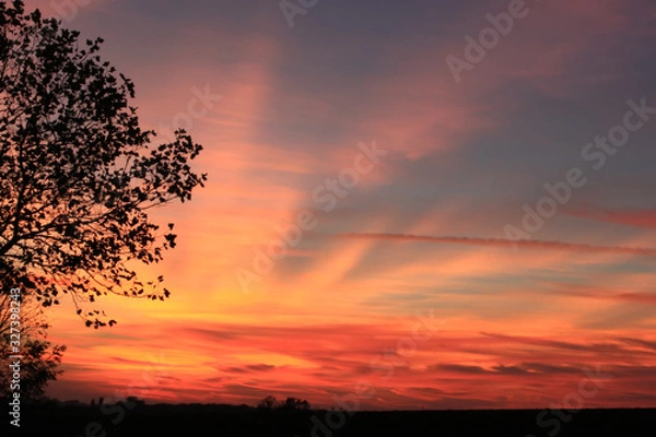 Fototapeta Coucher du soleil