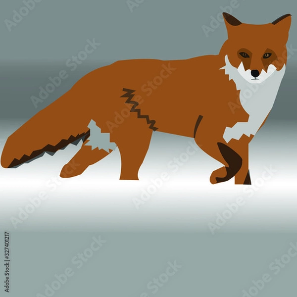 Obraz lonely fox runs in the snow