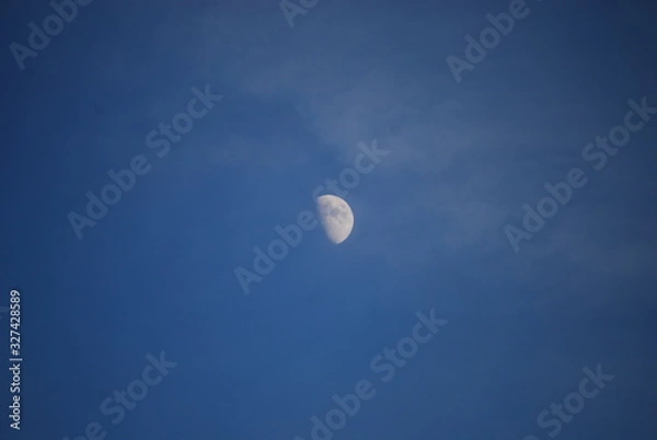 Fototapeta 月