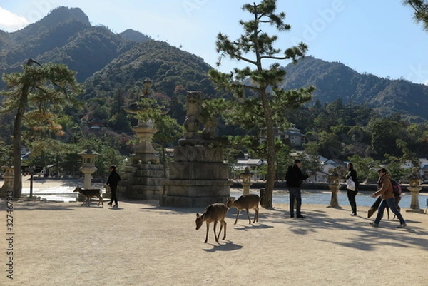 Fototapeta Miyajima