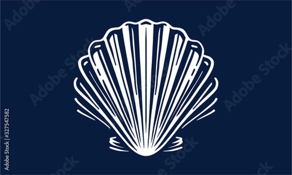 Obraz sea shell on dark background