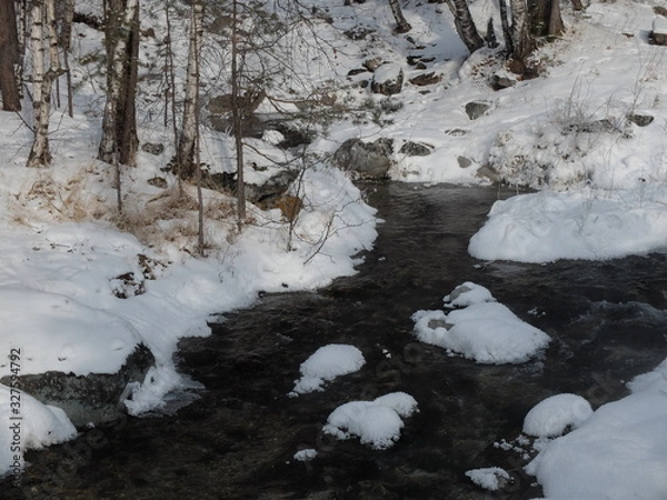 Obraz River in winter