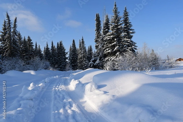 Obraz winter mountain landscape with trees and snow