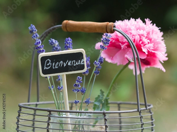 Obraz bienvenue
