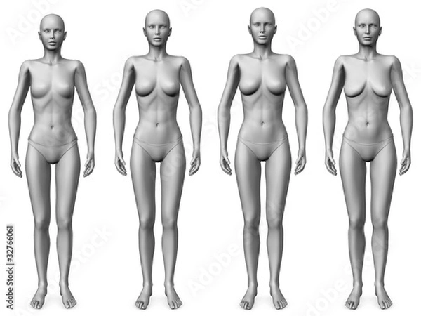 Obraz female morph - young to old