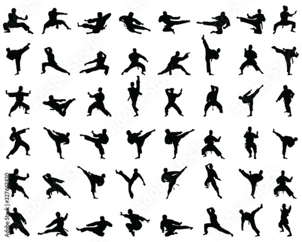 Fototapeta Black karate silhouettes on the white background