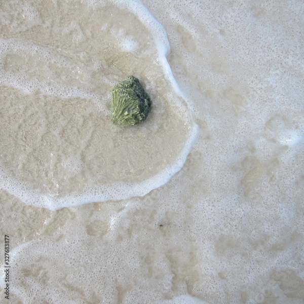 Obraz Stone in the water