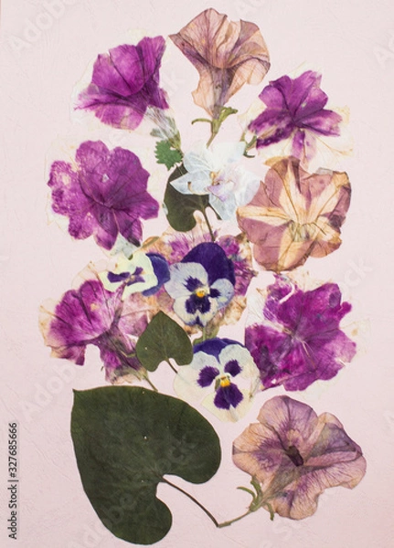 Fototapeta Pressed flowers