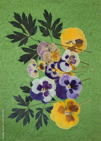 Fototapeta Pressed flowers