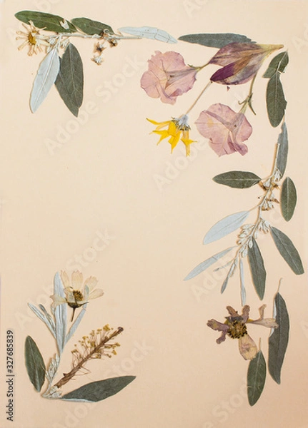 Fototapeta Pressed flowers