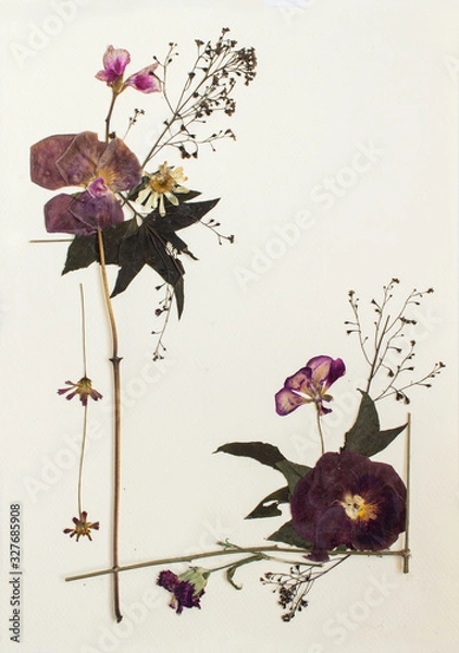 Fototapeta Pressed flowers