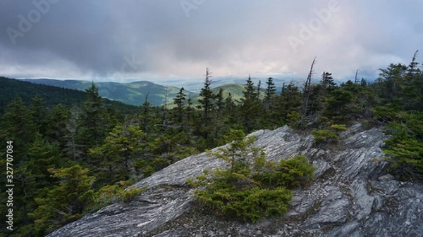 Fototapeta A scenic overcast view of the Green Mountains from the Long Trail in Vermont.