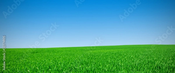 Fototapeta Panorama of a meadow