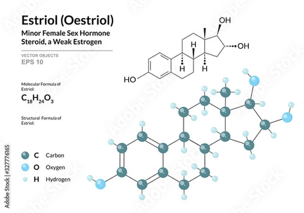 Fototapeta Estriol (Oestriol). Structural Chemical Formula and Molecule 3d Model. Atoms with Color Coding. Vector Illustration