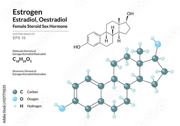 Fototapeta Hormone Estrogen (Estradiol, Oestradiol). Structural Chemical Formula and Molecule 3d Model. Atoms with Color Coding. Vector Illustration