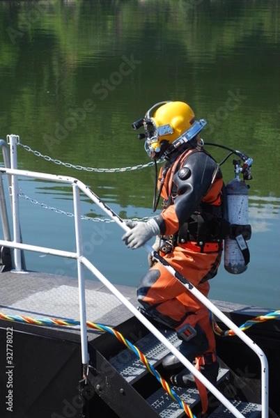 Obraz Taucher, Mai 2011