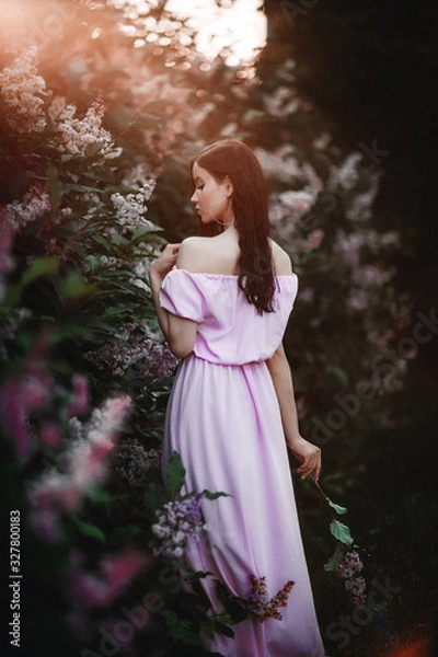 Obraz Beautiful young girl in a pink dress posing in flowers. Posing and enjoying the spring. Art work of romantic woman .Pretty tenderness model looking at camera.