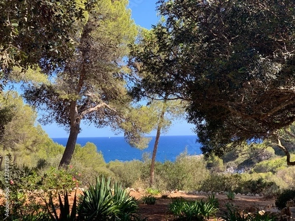 Obraz lake in forest