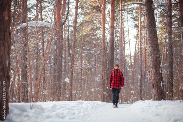 Fototapeta Male tourist with backpack walks on snow pine forest. Guy hiking at nature. Concept of winter holiday or vacation..
