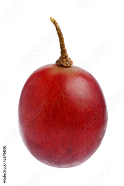 Obraz Red Grape