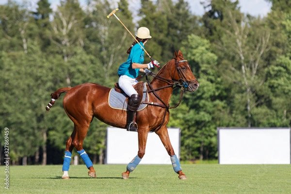 Obraz Horse polo player with a mallet ride on field. Profile side view